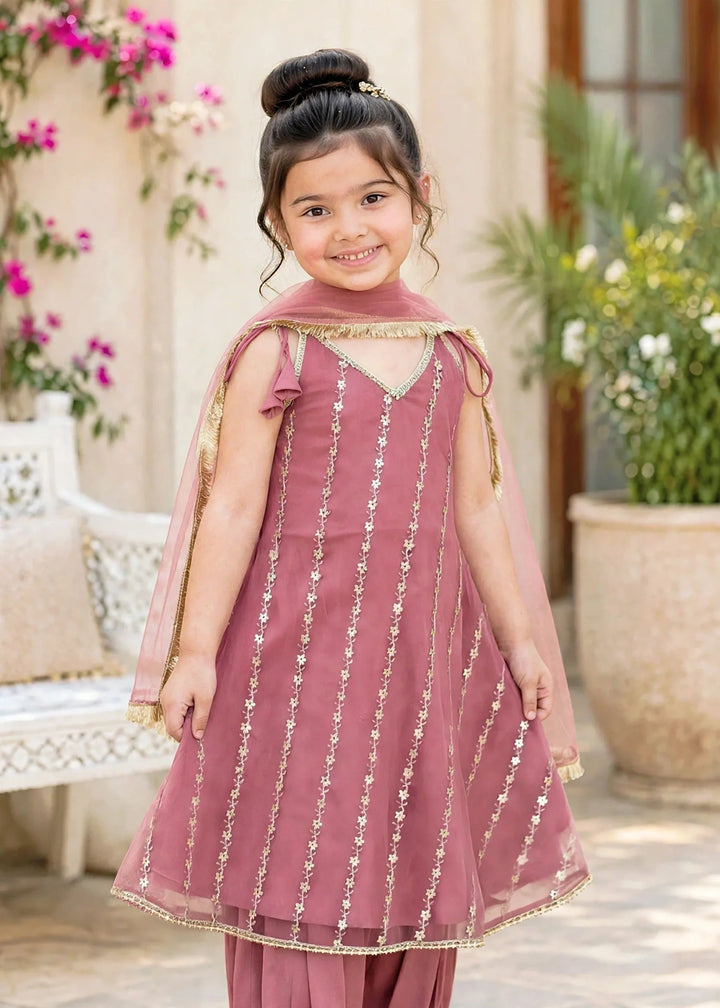 Modest 3 Piece Net Embroidered Pink Frock