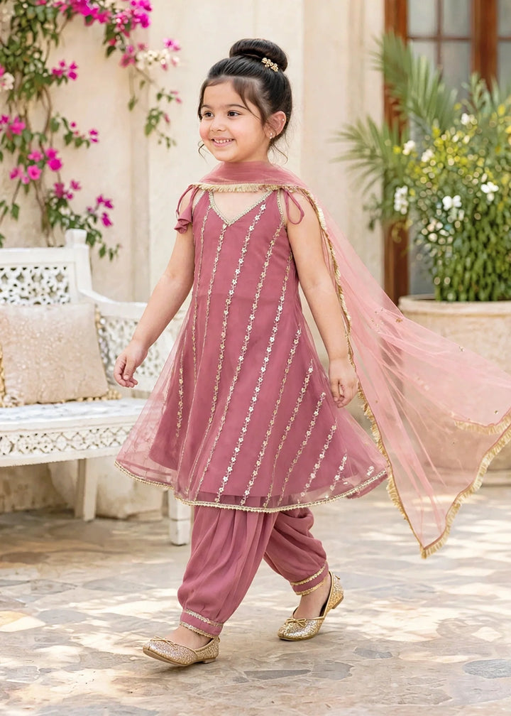 Modest 3 Piece Net Embroidered Pink Frock