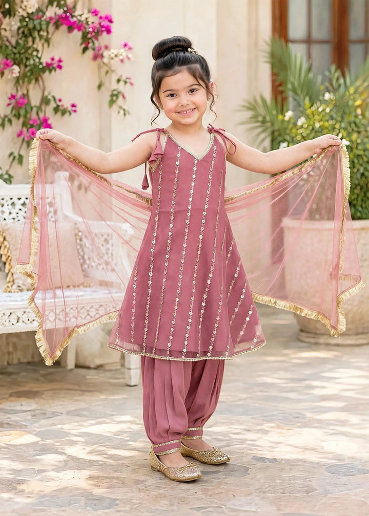 Modest 3 Piece Net Embroidered Pink Frock
