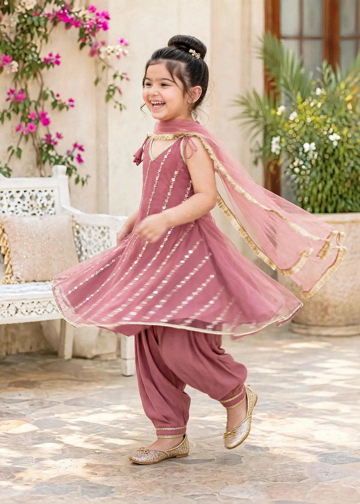 Modest 3 Piece Net Embroidered Pink Frock