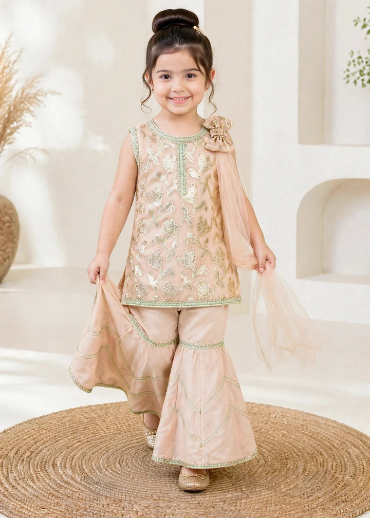 Modest 3 Piece Textured Banarsi Peach Gharara