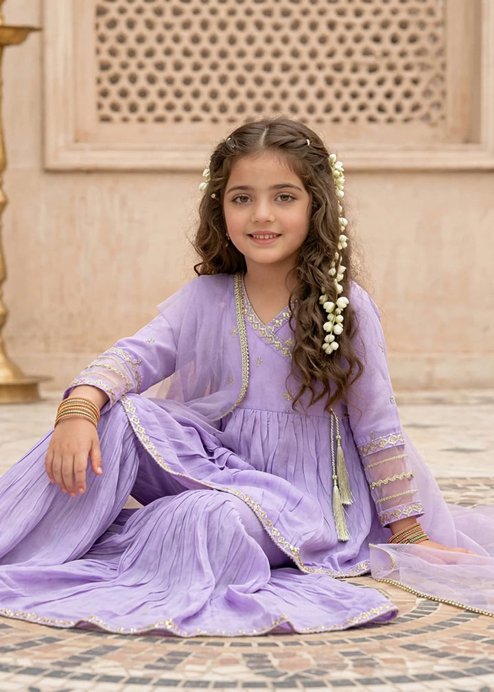 Modest Girls 3 Piece Cotton Silk Embroidered Anghrakha Dress Purple