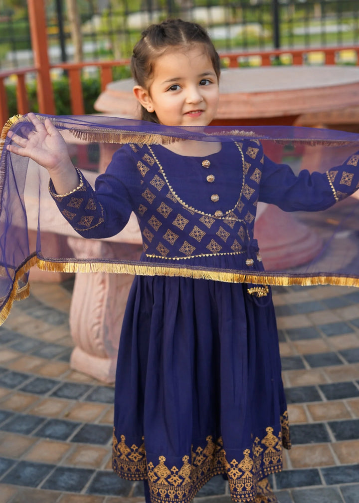 Modest 3 Piece Printed Rawsilk Frock Blue
