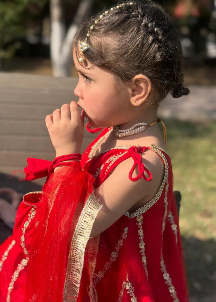 Modest - Net Embroidered Suit For Girl -  3 Piece
