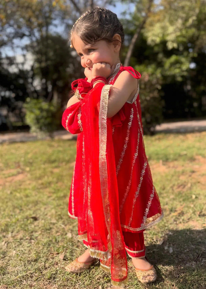 Modest - Net Embroidered Suit For Girl -  3 Piece