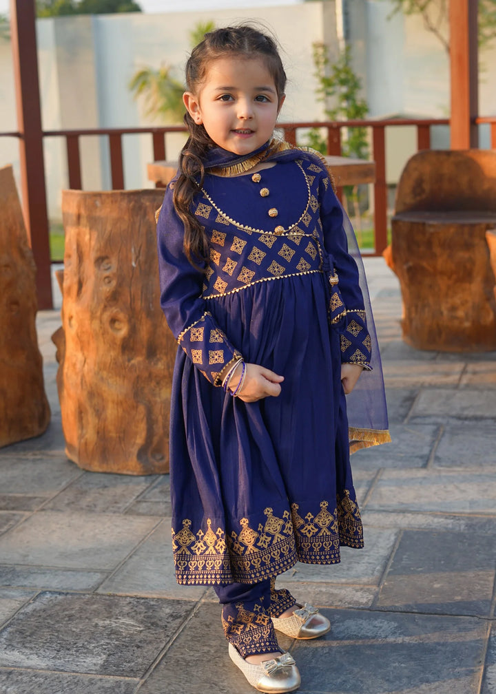 Modest 3 Piece Printed Rawsilk Frock Blue