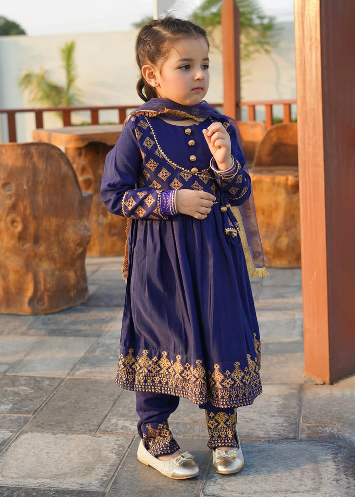 Modest 3 Piece Printed Rawsilk Frock Blue