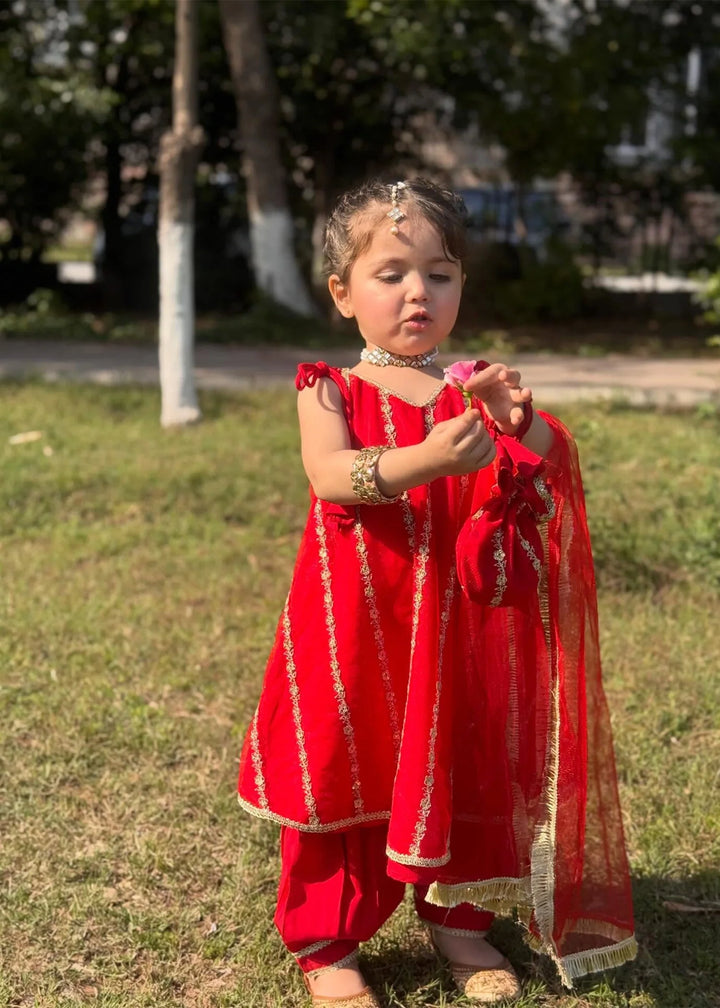Modest - Net Embroidered Suit For Girl -  3 Piece