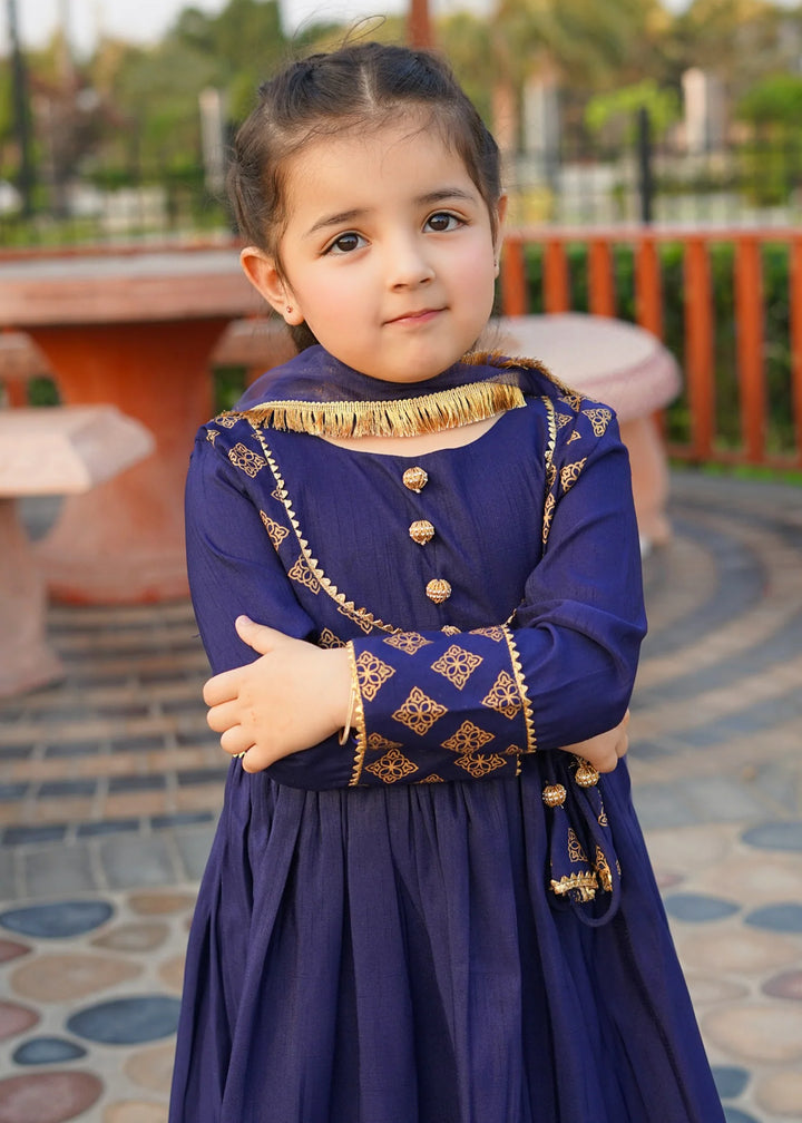 Modest 3 Piece Printed Rawsilk Frock Blue