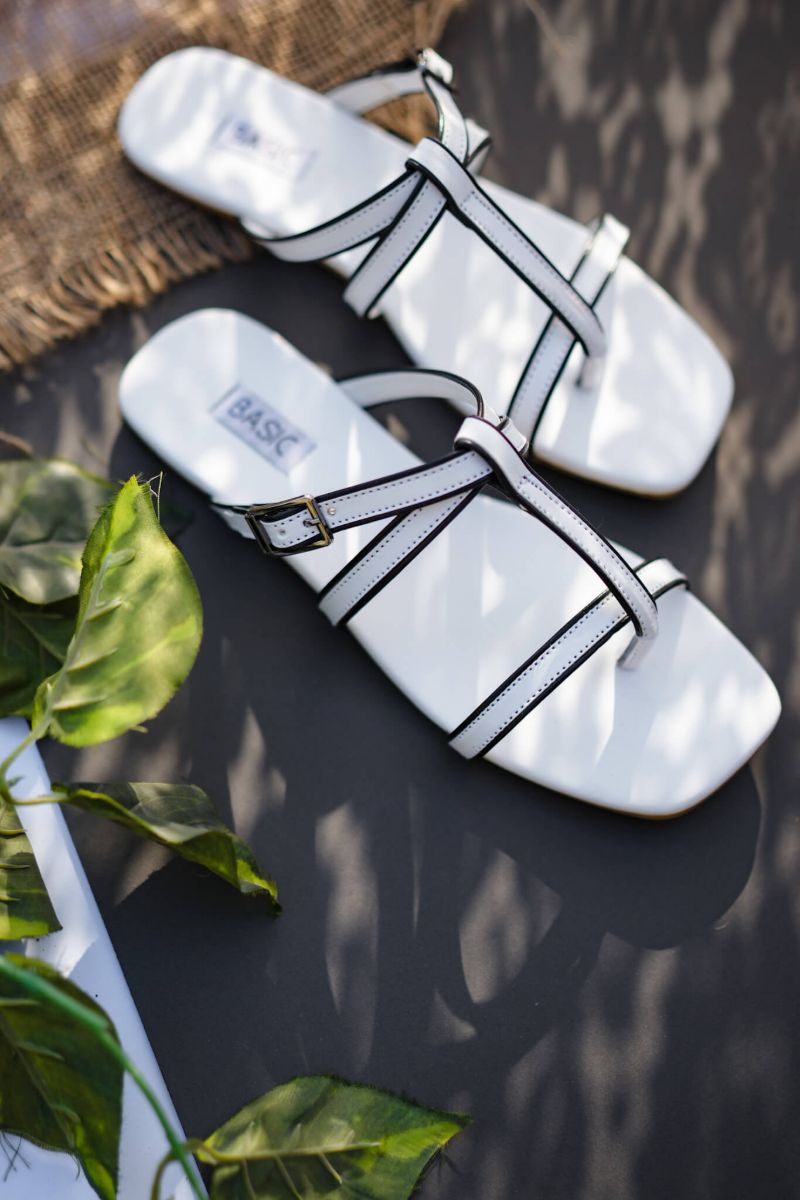 Basic by Chapter 13 - Dual BASIC - White - 19106 - Slides
