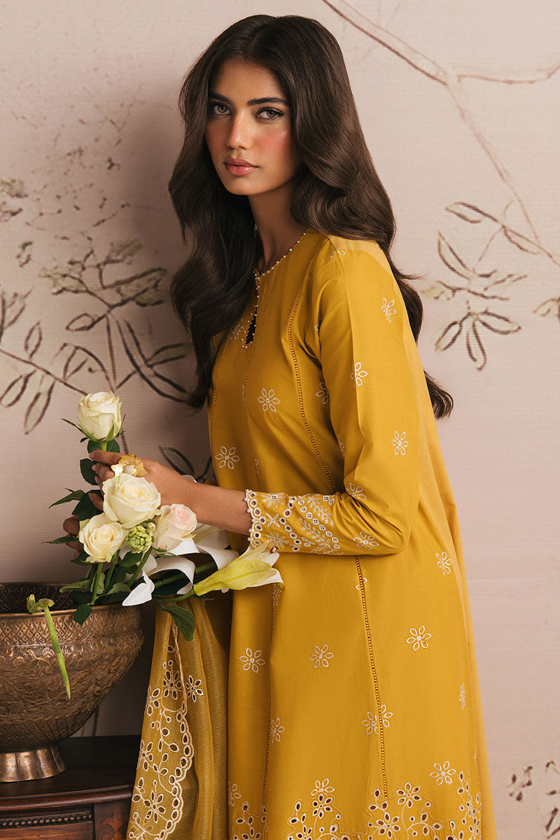 Cross Stitch - AMBER GLOW - CHIKANKARI - 3 Piece - Unstitched