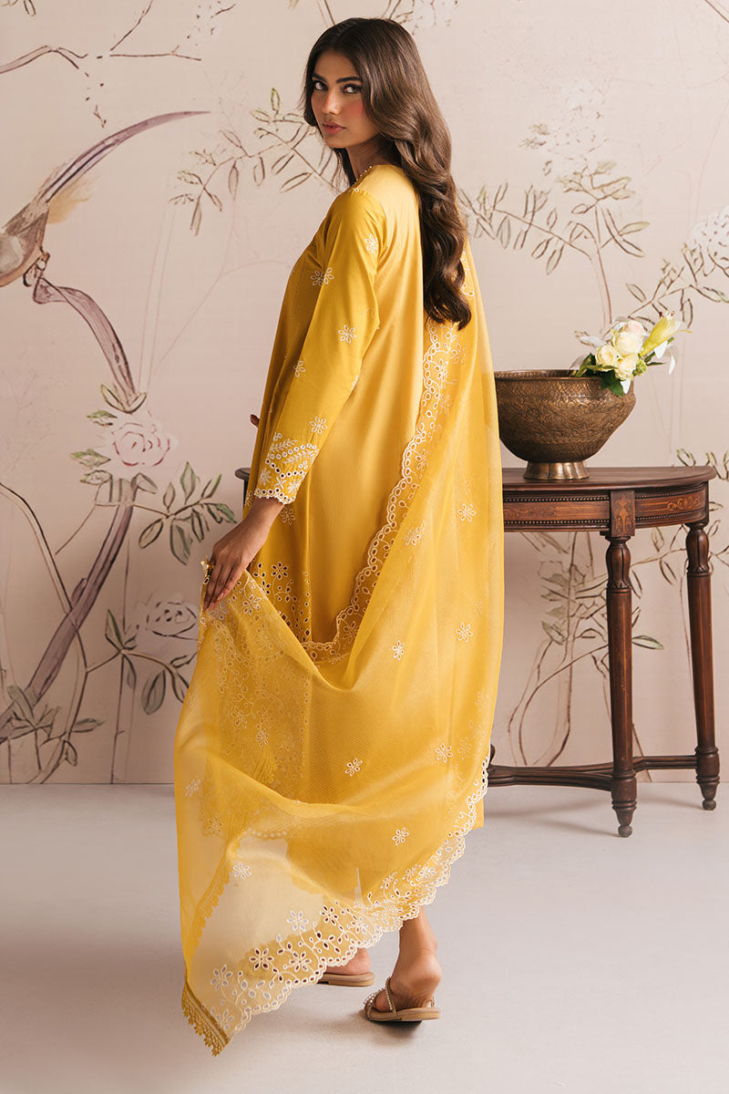 Cross Stitch - AMBER GLOW - CHIKANKARI - 3 Piece - Unstitched