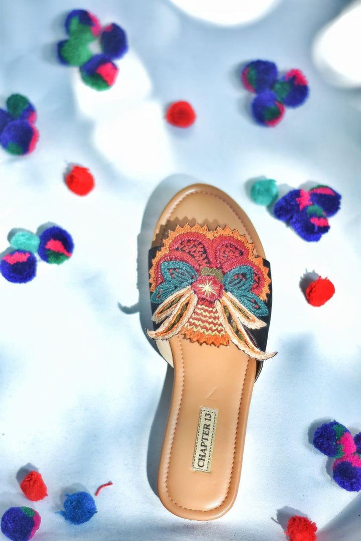 Chapter 13 - Butterfly Ash - Slides - 19134 - Black