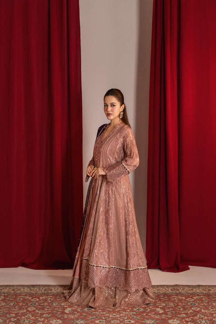 Zaaviay-Rosy Mauve-Mauve-Chiffon-3 Piece