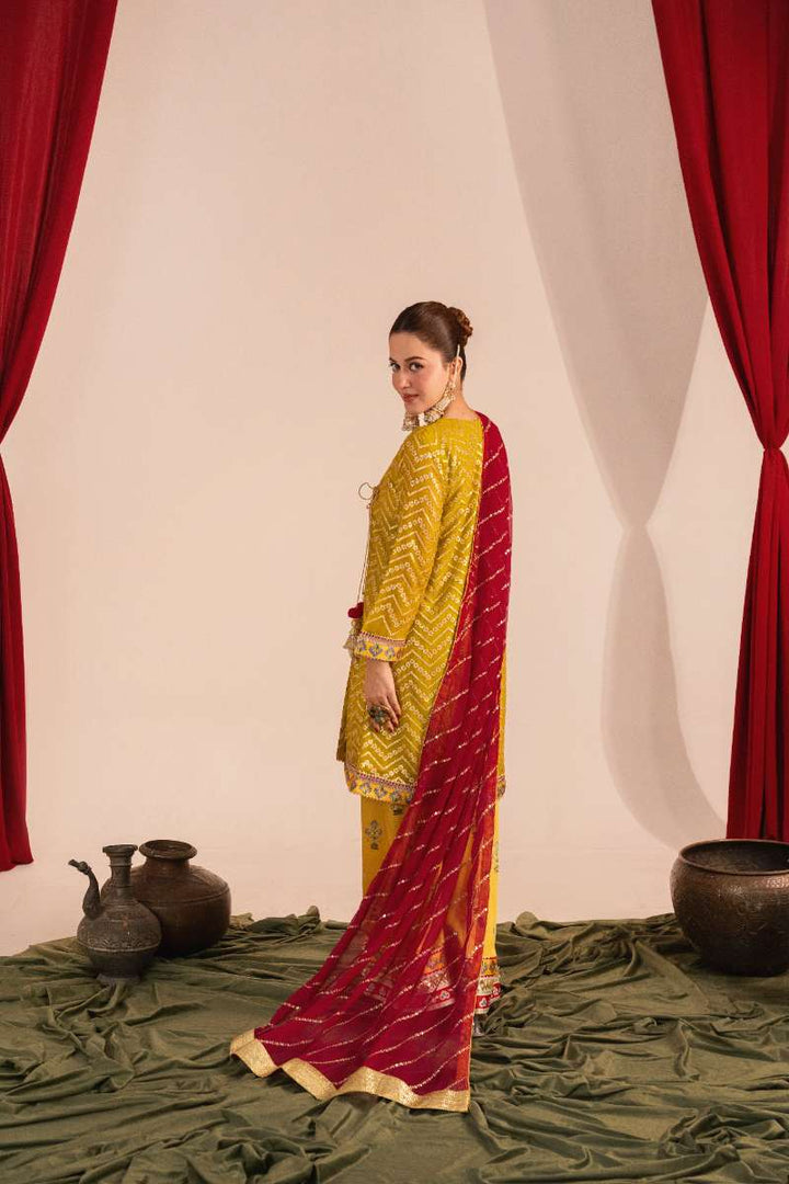 Zaaviay-Olive Splash-Olive Green-Chikankari-3 Piece