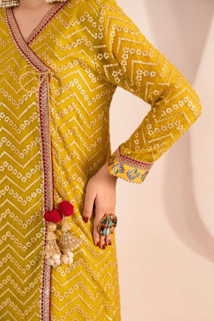 Zaaviay-Olive Splash-Olive Green-Chikankari-3 Piece