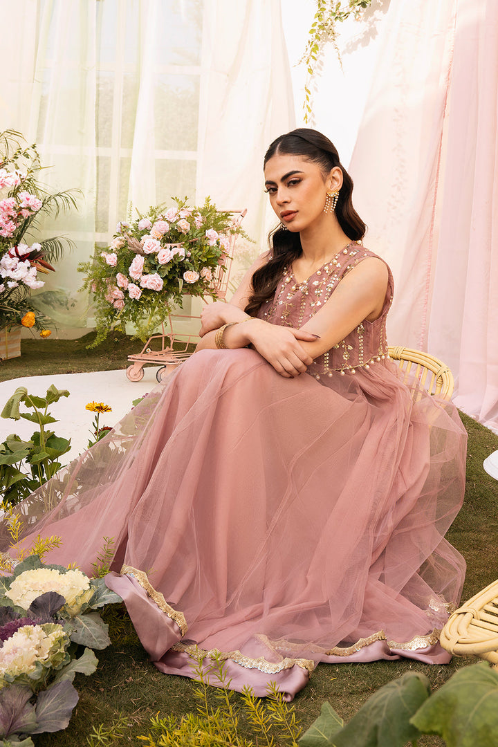 Hummingbirds - Champagne & Gold Embroidered Dress For Girl