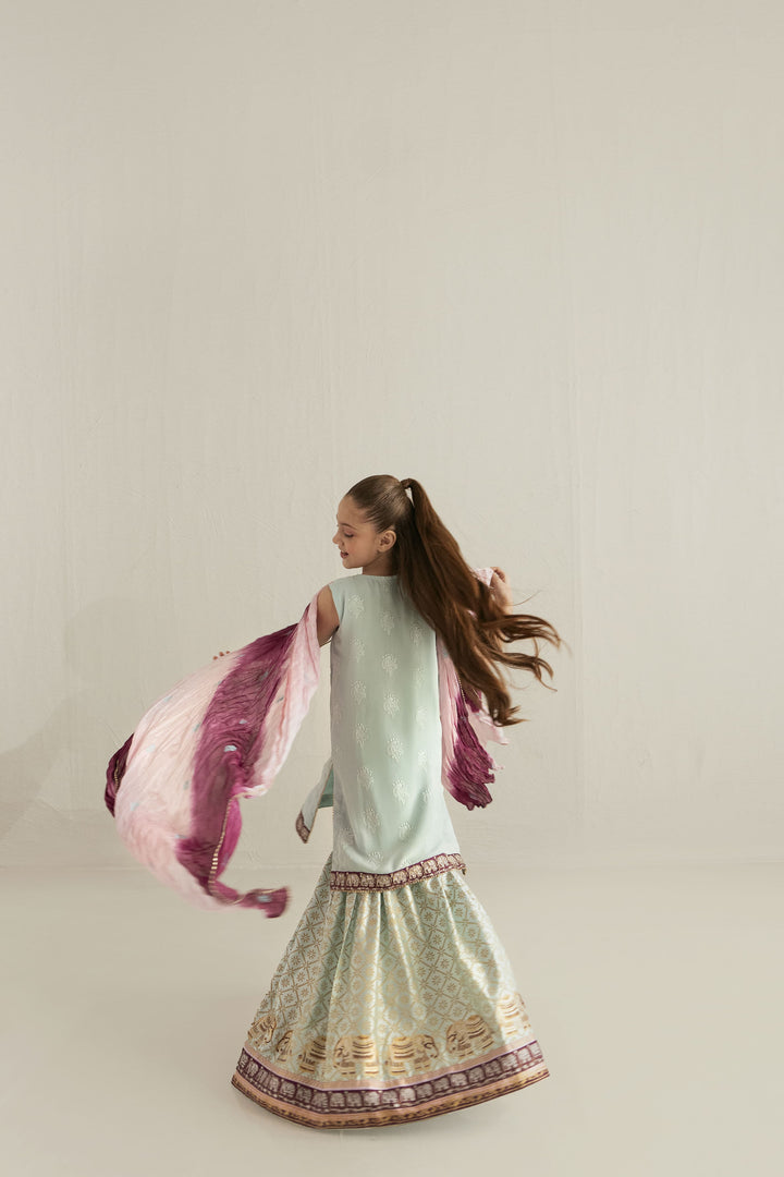 Shehrnaz - Chiffon Ferozi Elephant Angrakha With Block Gharara For Girl - Ferozi Blue