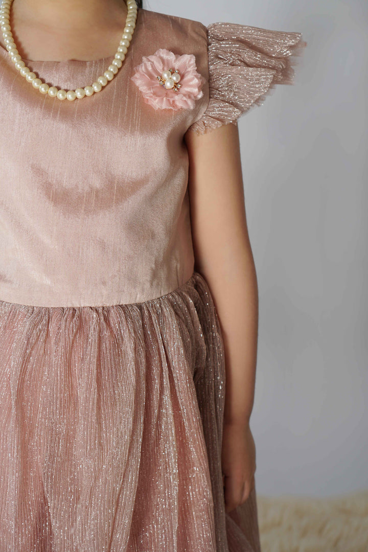 Hummingbirdspk - Peach Shimmery Party Dress