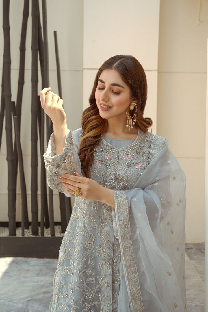 Laleen - Dove Grey Jewel Organza Suit For Women - Grey - 3 Piece