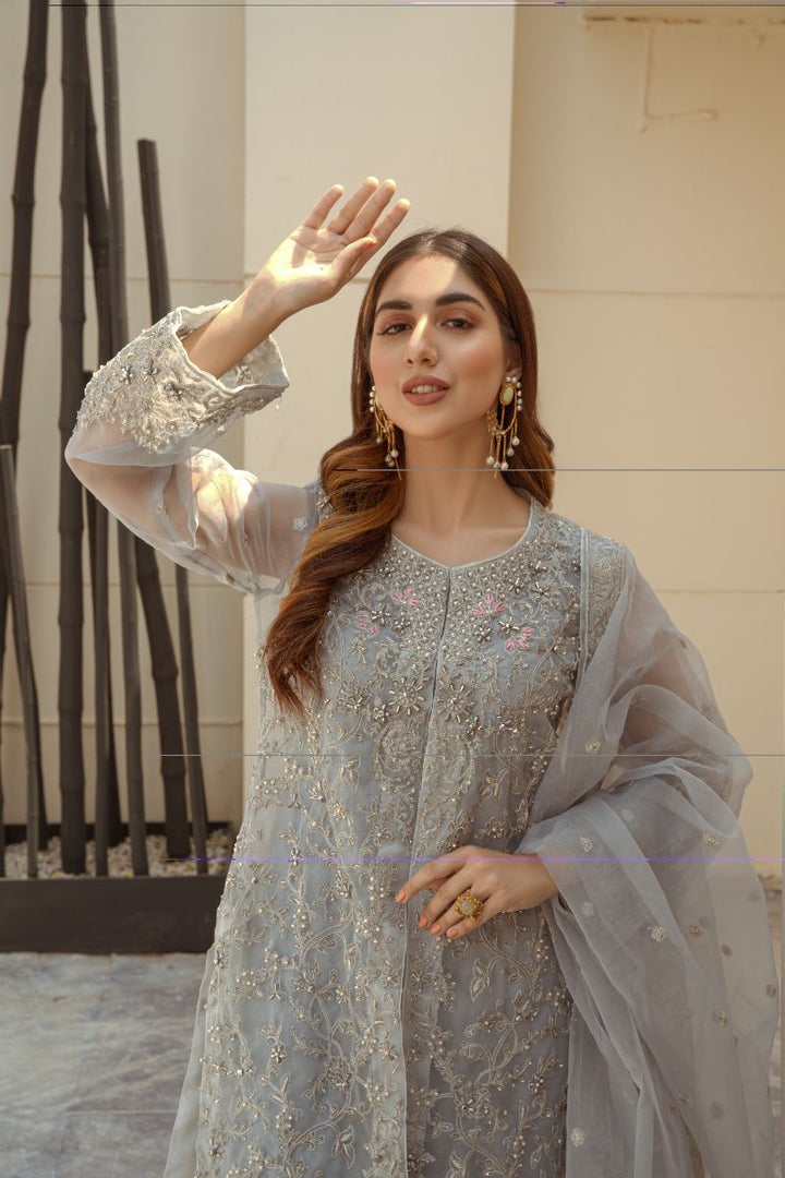 Laleen - Dove Grey Jewel Organza Suit For Women - Grey - 3 Piece
