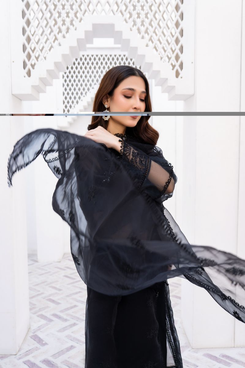 Laleen - Haya Black Organza Suit For Women - Black - 3 Piece