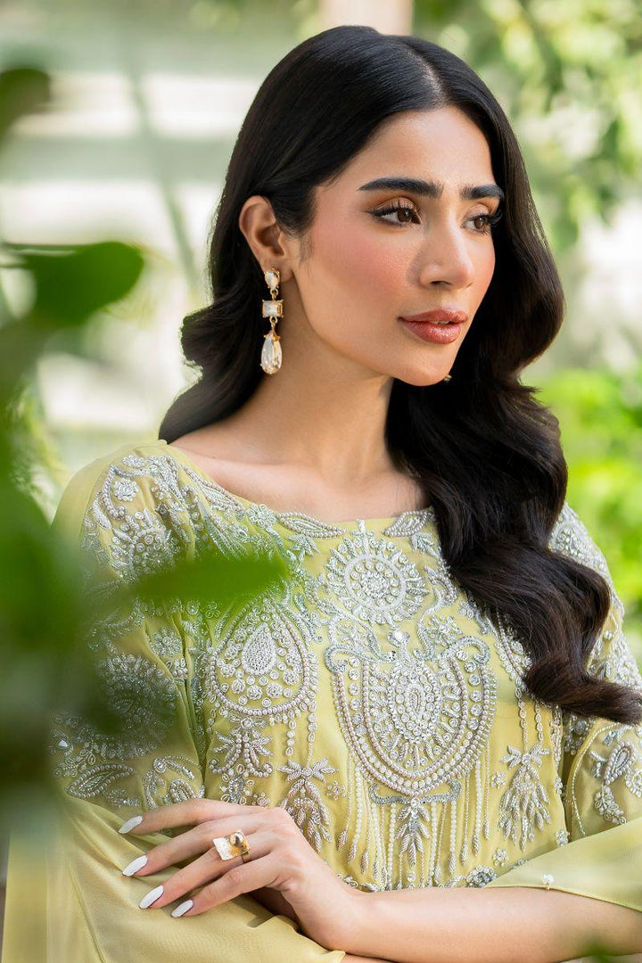 Hina Khawaja in Natasha Kamal - Peridot - shaded kaftan - Georgette with slip of crepe de chin - 2 Piece