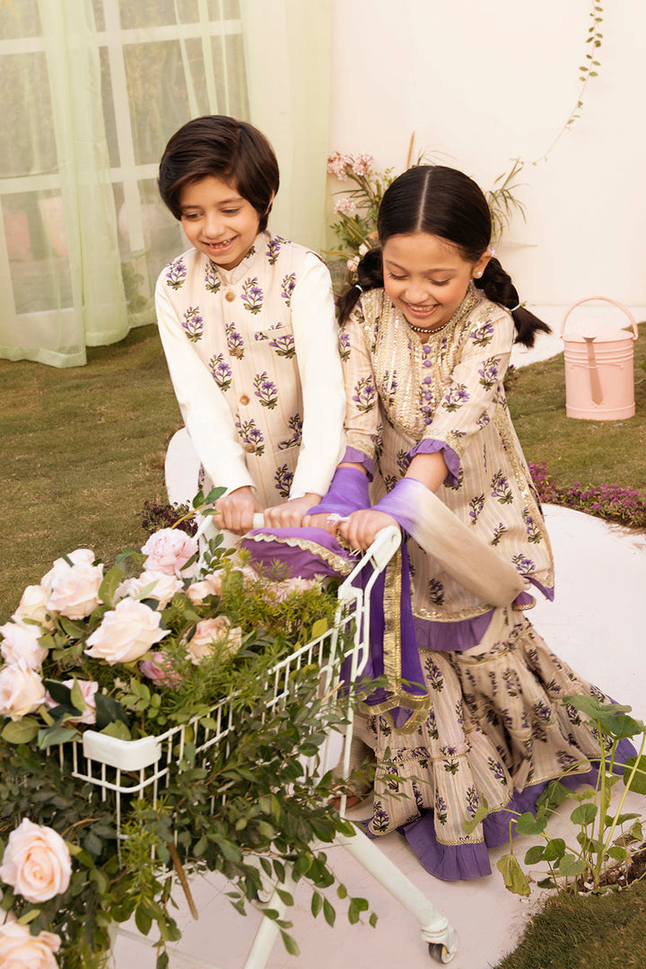 Hummingbirds - Heirloom Paisley Sharara For Girl
