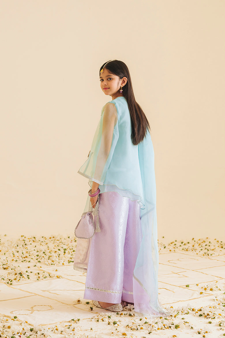 Hummingbirdspk - Gul-e-Yass Lilac &amp; Blue Butterfly Suit