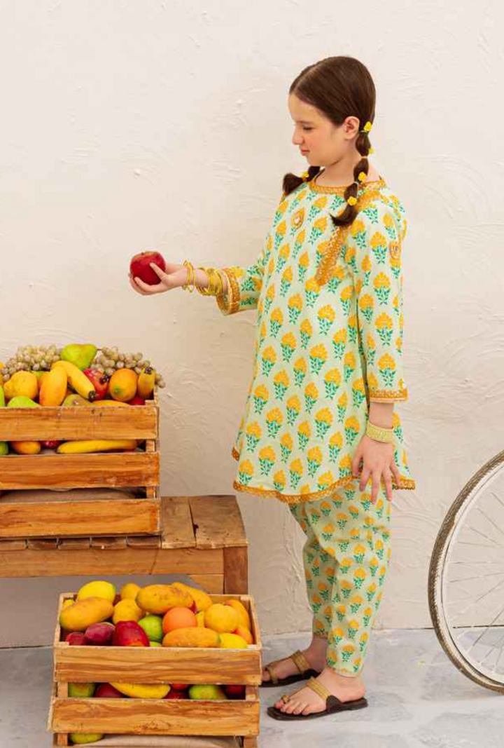 Hummingbirdspk - Mint Mango Sorbet Suit 2 Piece