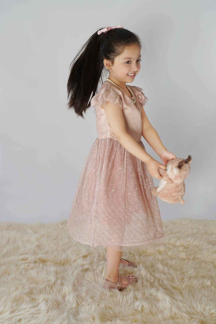 Hummingbirdspk - Peach Shimmery Party Dress