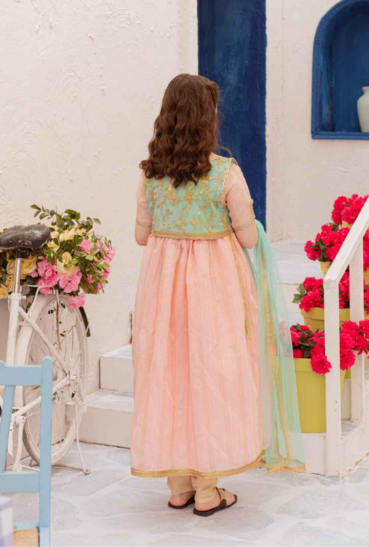 Hummingbirdspk - Rose Quartz &amp; Mint Green Peshwaz 4 Piece