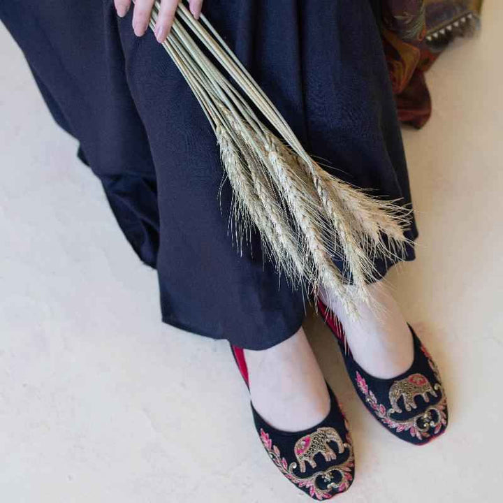 JootiShooti - Shahi Sawari