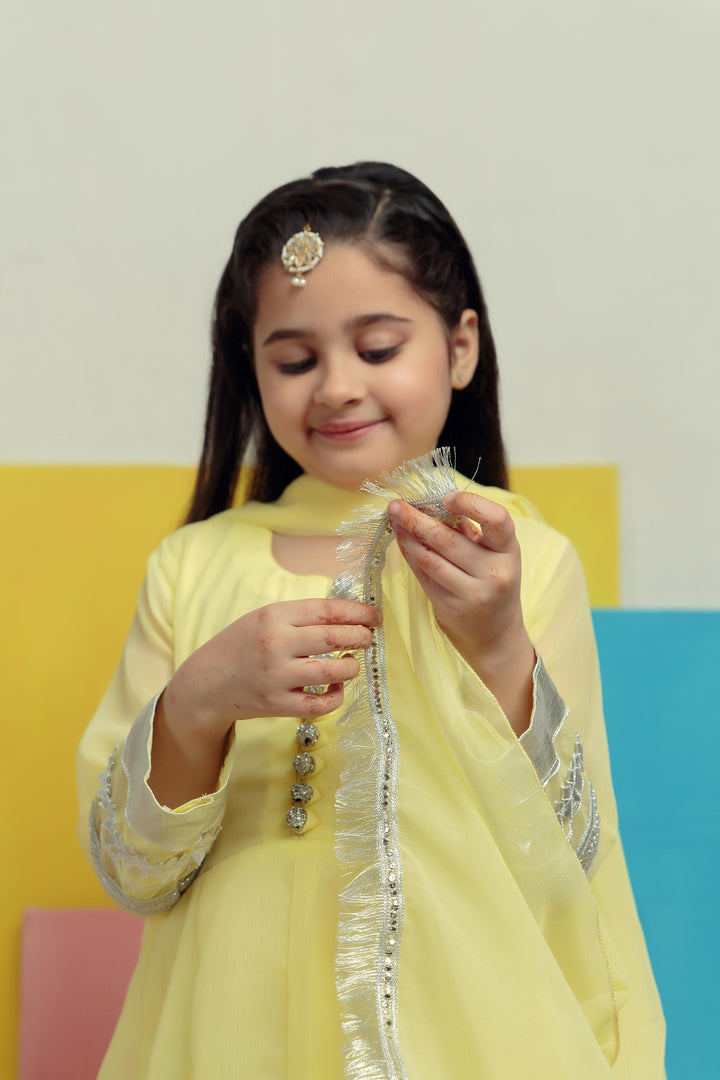 Kidoz Kloset - Silver Lime Chiffon Frock For Girl