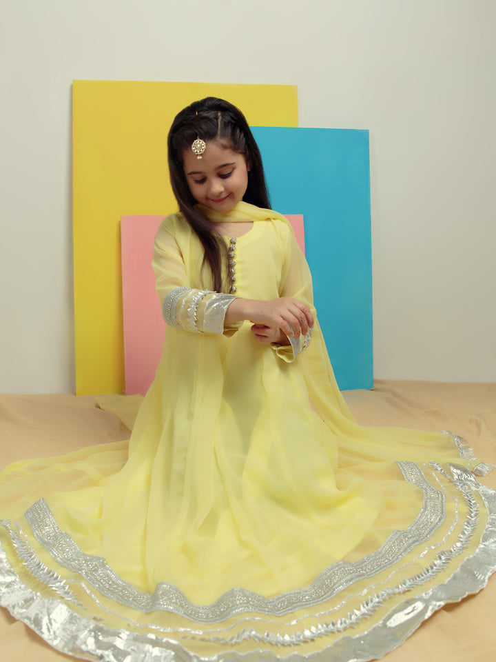 Kidoz Kloset - Silver Lime Chiffon Frock For Girl