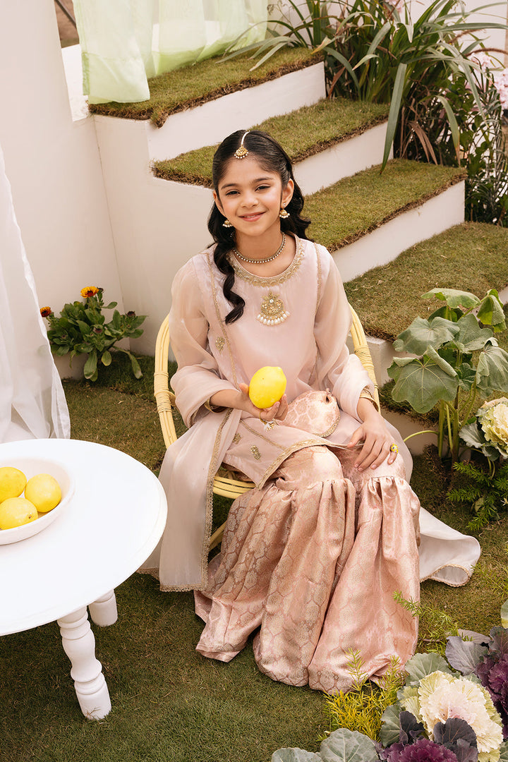 Hummingbirds - Rose Gold Jhumar Jamawar Gharara set For Girl