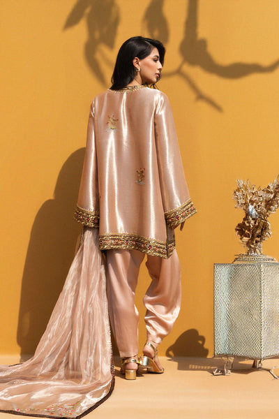 Sania Maskatiya - Manira Tissue,Organza Suit For Women - Rose Quartz 3 Piece