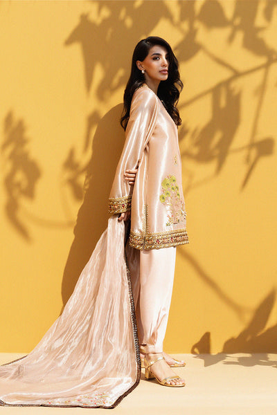 Sania Maskatiya - Manira Tissue,Organza Suit For Women - Rose Quartz 3 Piece