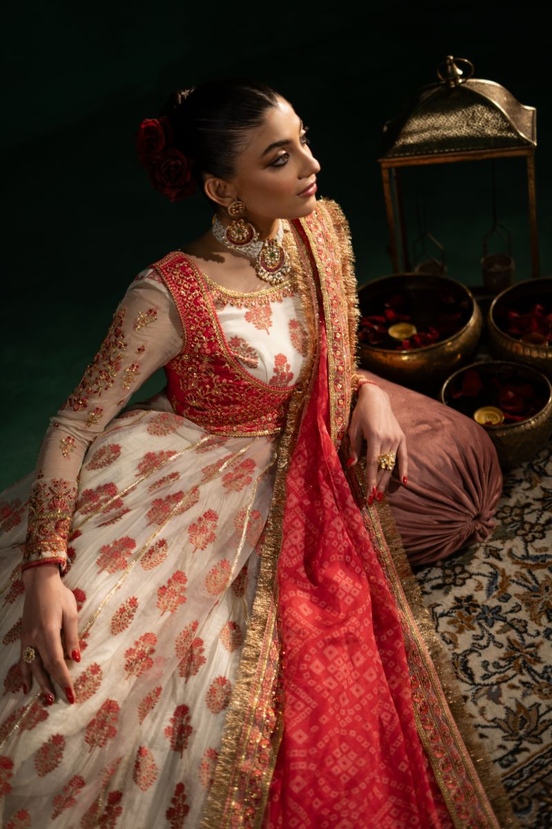 Maria Osama Khan - Noor-e-Jashan - Ivory - organza - 4 Piece
