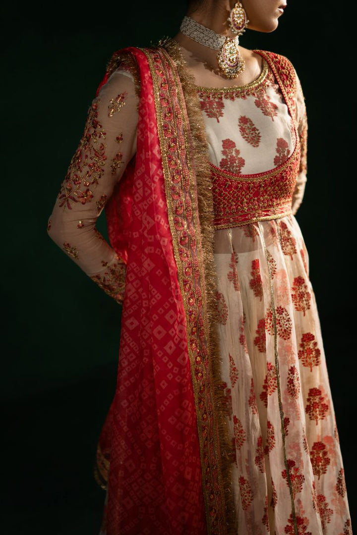 Maria Osama Khan - Noor-e-Jashan - Ivory - organza - 4 Piece