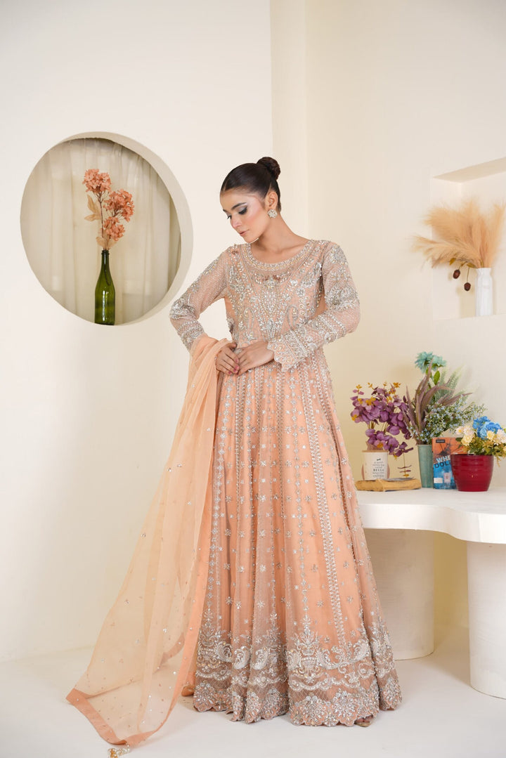 Mina Muse Ciao Lehnga choli / Sharara Peach 3 Piece