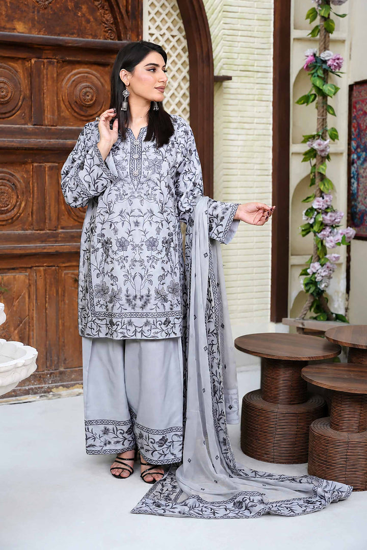 Mina Muse Nayab Suit Silver Grey 3 Piece