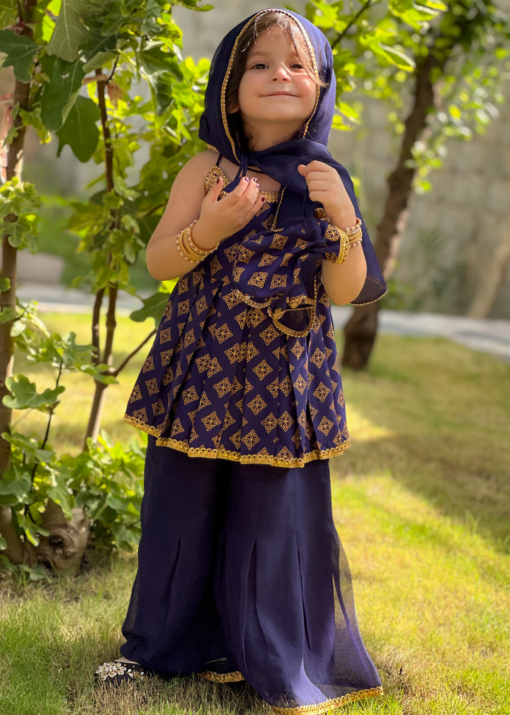 Modest 3 Piece Printed Rawsilk Blue Gharara