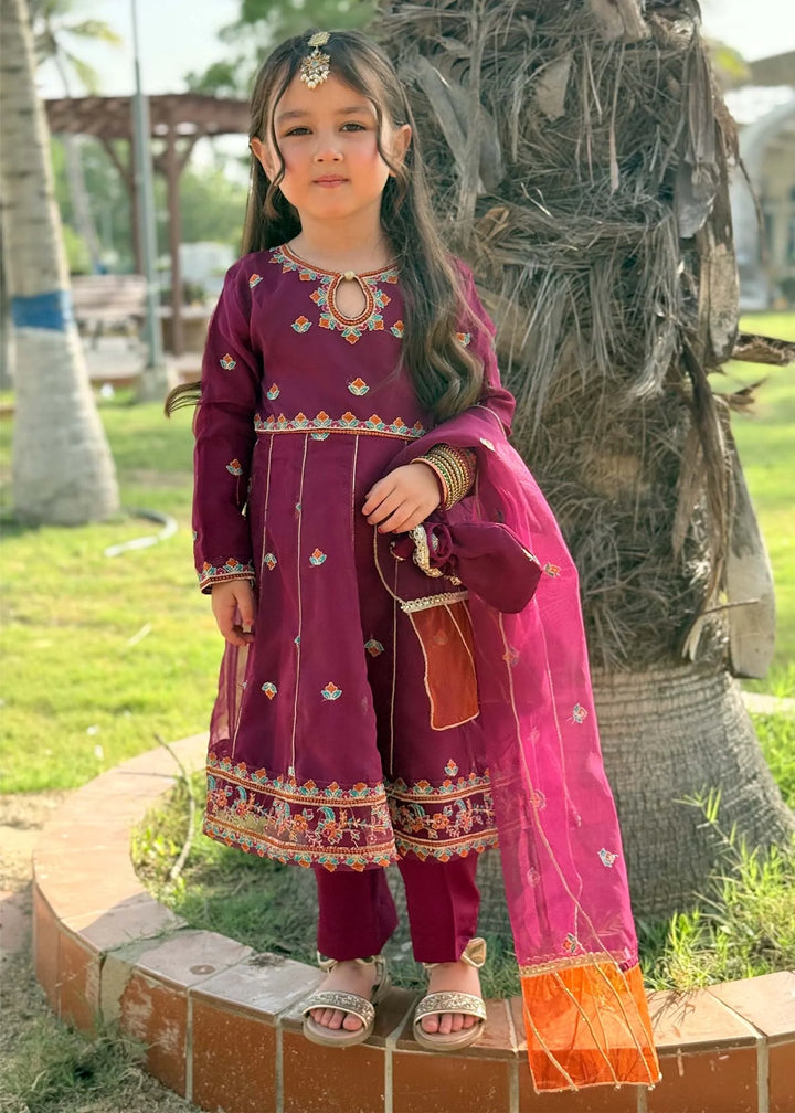 Modest - Organza Embroidered Suit For Girl - Purple - 3 Piece