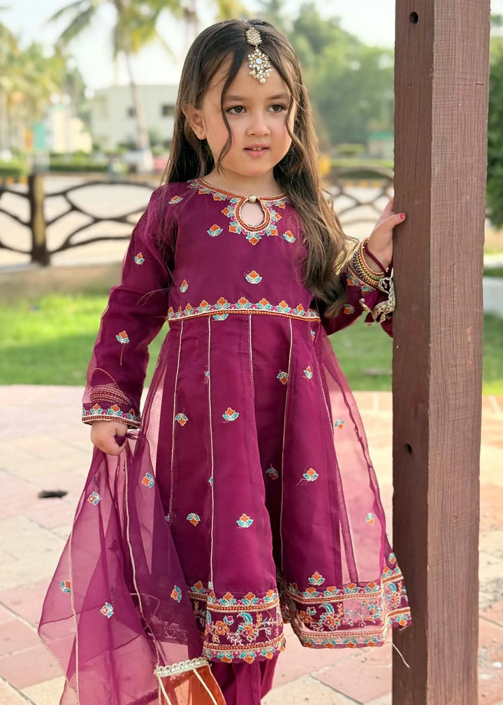 Modest - Organza Embroidered Suit For Girl - Purple - 3 Piece