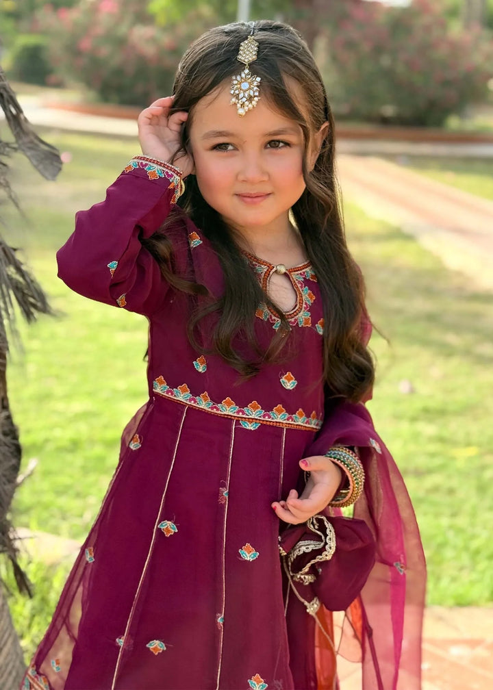 Modest - Organza Embroidered Suit For Girl - Purple - 3 Piece