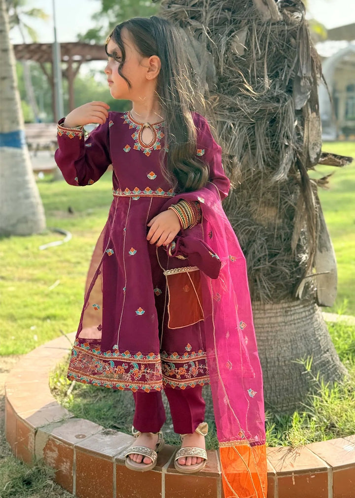 Modest - Organza Embroidered Suit For Girl - Purple - 3 Piece