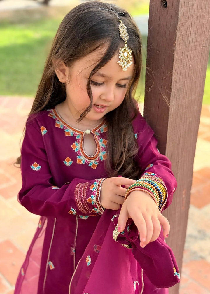Modest - Organza Embroidered Suit For Girl - Purple - 3 Piece