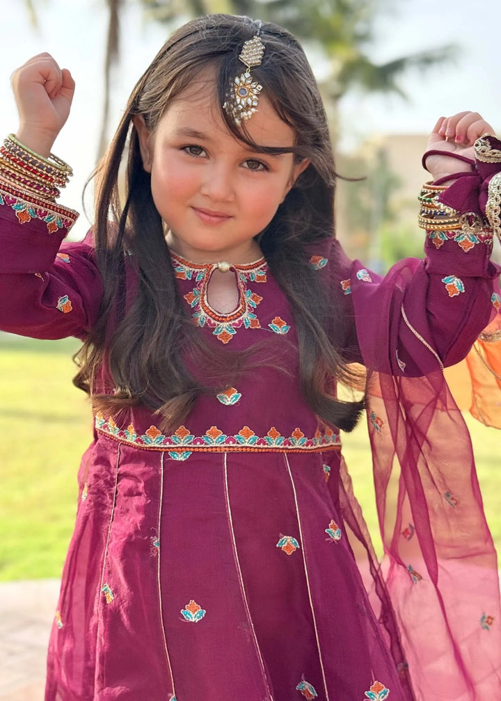 Modest - Organza Embroidered Suit For Girl - Purple - 3 Piece