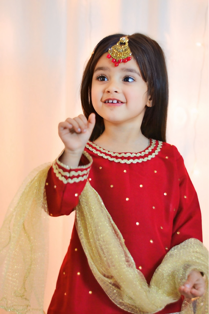 Mom4Little - Red lehenga set - Silk & Organza with Net - 3 Piece